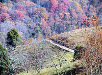 Country Road