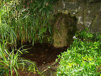 Kilcullen_TheValley_Park_ThePool_Below_StBrigids_Well