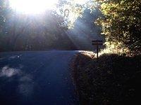 county road with mailbox and sunlight