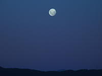 moon on dark blue background with stars