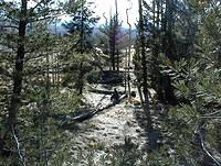 AZ snowbowl 011