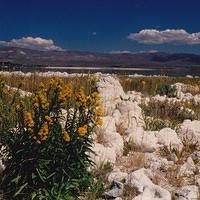 eastern Sierra near Bishop