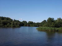 Small lake in Bergsebos near Bergschenhoek, Netherlands