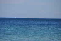 Ocean with sailboat far in the distance