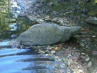 Turtle Rock