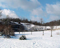 Snowy Blanket