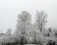 Snowy Hillside