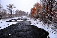 Yampa River Winter