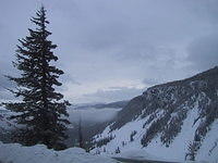 tree_snowy_mountain