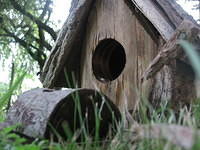 wood bird house