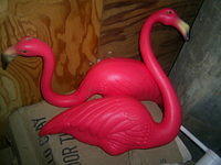 Yard Flamingoes