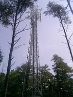 Cell Tower