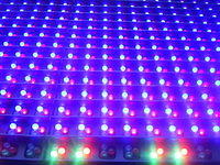 Closeup of LED Lights