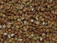 Buckwheat grain closeup