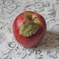 Red apple with leaf.