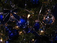 tree-blue