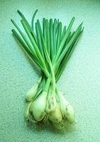 Spring onions