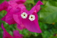 dsc00320