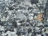 Concrete texture