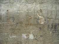 concrete686