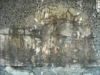 grunge394