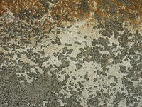 grunge652