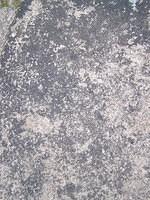 Concrete texture