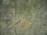 concrete761