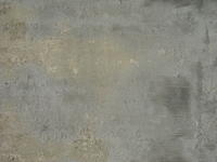 wall815