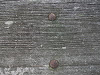 DSCF0598.JPG