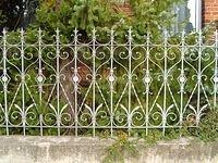 ornate_fence_TT000056.JPG