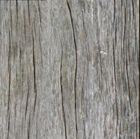 wood