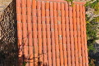 TT1_0285.JPG