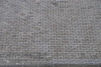 TT1_0652.JPG