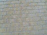 TT7001610.JPG