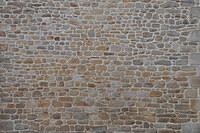 TT1_0307.JPG