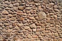 TT1_0317.JPG