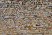 TT1_0713.JPG