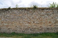 TT1_0714.JPG