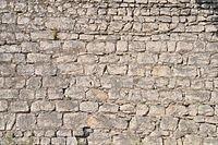 TT_DSC_6302
