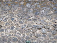 Wall