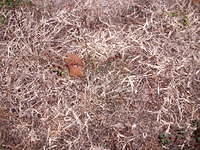 DSCF0244.JPG