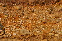 TT1_0122.JPG