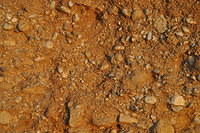 TT1_0125.JPG