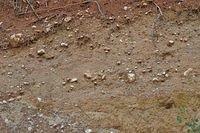 TT_DSC_6395