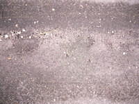 DSCF0198.JPG