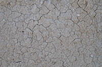 TT1_0158.JPG