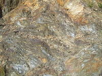 TT004163.JPG