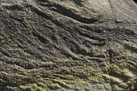 TT1_0281.JPG