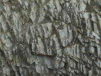 Rock texture by Tukituki River, Hawkes Bay, New Zealand